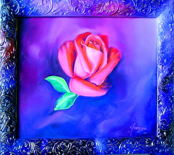 Rosa
